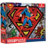 DC Comics - Super Man and Villians Jigsaw Puzzle (1000 Pieces) - Paper House Productions