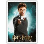 Dragon Shield [Harry Potter] - Patronus Harry Potter Art Protective Card Sleeves (Matte, 100 Count, Standard Size) - Image 2