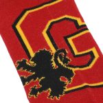 Harry Potter - Gryffindor Socks Set (5 Pack) - Bioworld - Image 8